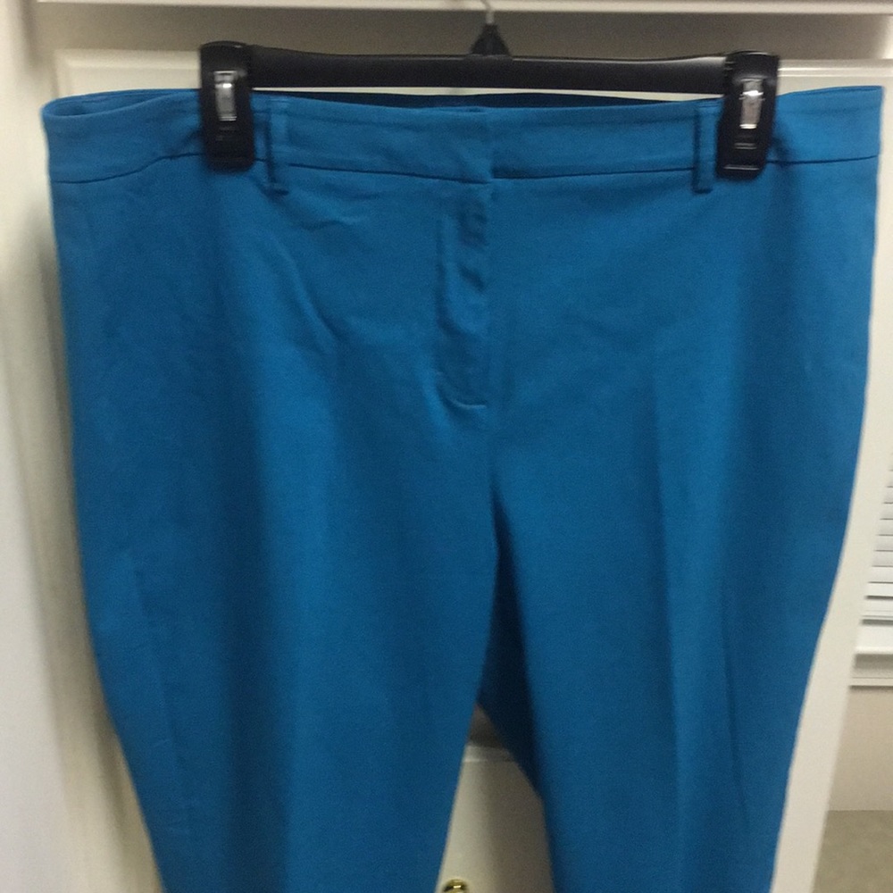 Larry Levine ladies ankle pants, size 14. - Picture 5 of 6